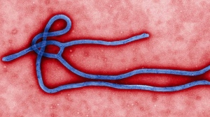 Imagen ebola