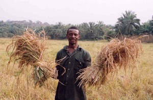 Sierra_Leone_rice_farmer